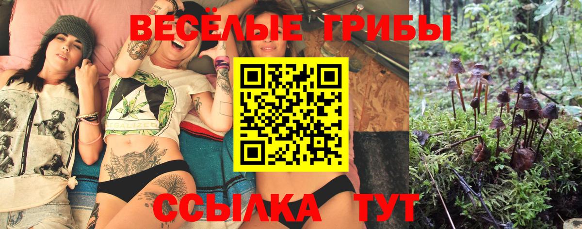 Гусь-Хрустальный  Галлюциногенные грибы MAGIC MUSHROOMS  Вход с VPN 